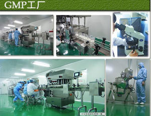 गर्म बिक्री विटामिन बी 2 रिबोफ्लेविन पाउडर cas 83-88-5 पूरक रिबोफ्लेविन विटामिन बी 2 पाउडर - Product Image 6