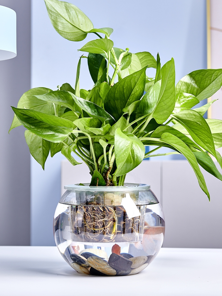 Factory Produced Wholesale Fish Tank  Aquariums & Accessories
