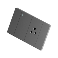 Interruptor de Pared con Enchufe y USB, Material de PC Ignífugo, Tipo 118, Estándar Estadounidense, Placa Grande