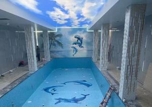 Mosaïque en céramique de porcelaine en forme de dauphin, directement de l'usine, pour carrelage de piscine - Product Image 3