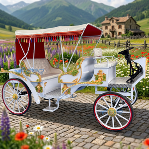 Calèche de tourisme électrique européenne de luxe classique blanche personnalisée haut de gamme - Product Image 1