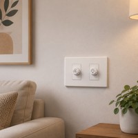Panneau de variateur de vitesse et de luminosité pour ventilateur de plafond, plaque murale modulaire dissimulée 120, panneau PC blanc brillant standard thaïlandais