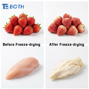 Secador por Congelación al Vacío Automático de Acero Inoxidable YFD-4 con Bomba para Dulces, Frutas y Verduras, Diseño Minimalista - Product Image 4