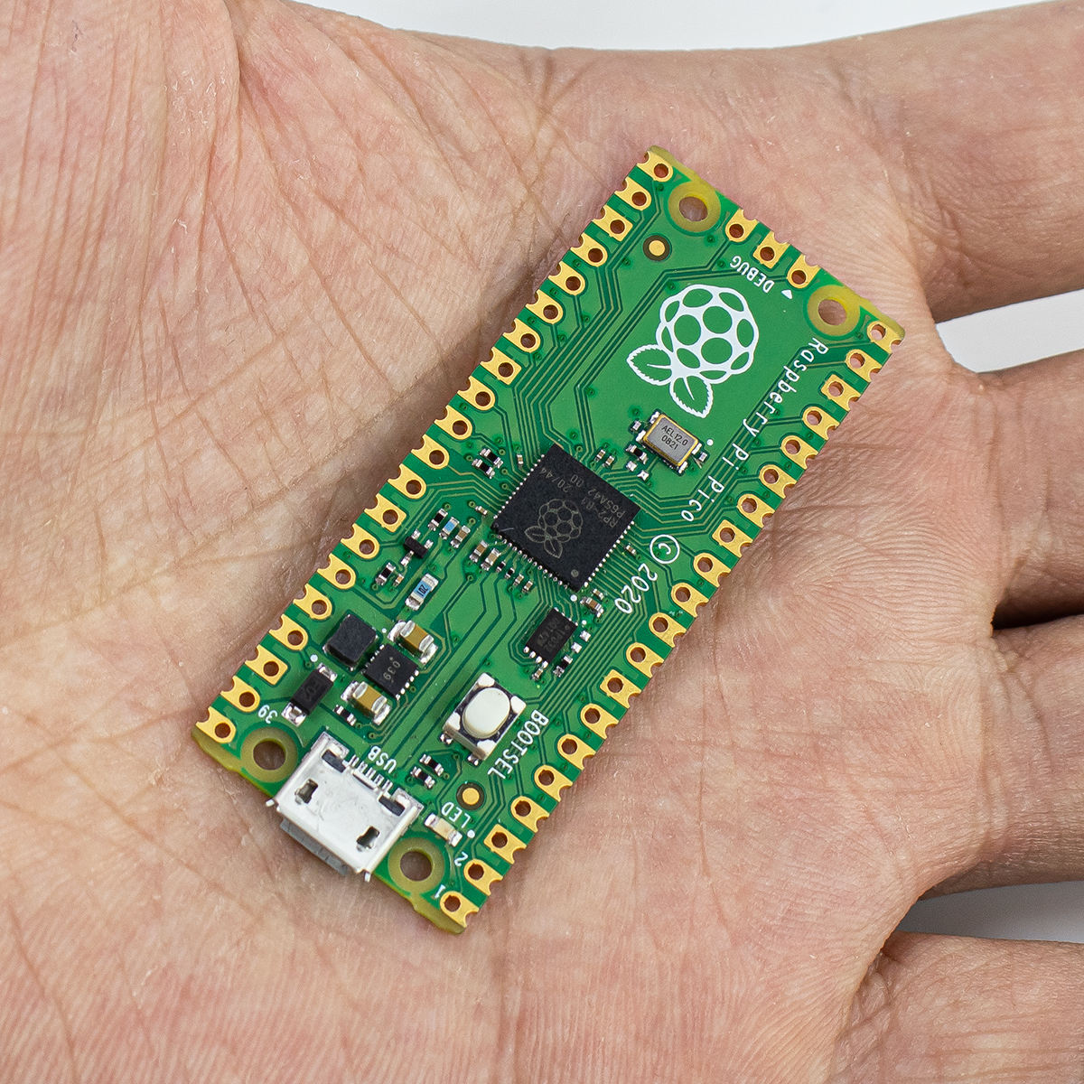 Dual Core 264KB Cortex M0 Processor Flexible Microcontroller Board, With SD2SP2