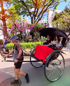 รถรับจ้าง 2 ที่นั่ง รถสามล้อถีบ/รถสามล้อรุ่นใหม่/รถสามล้อรุ่นใหม่คุณภาพสูง/จินริกิชา - Product Image 5