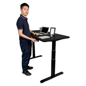 Smart Adjustable Lifting Desk Dual Electric Sit Stand Frame Computer Table Platform White Office Desk Furniture Executive