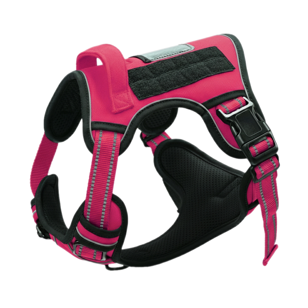 Hot Pink