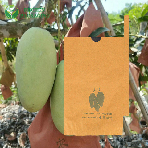 Mango Bagging Company for Mango Bagging Factory - Professional & Efficient Mango Bagging Company for Mango Bagging Factory - Professional & Efficient