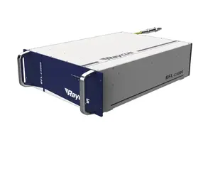 비용 효율적인 3000w Raycus 연속 섬유 레이저 용접 절삭 소스 금속 세부 정보