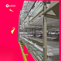 Cage à poulets de type h à poussée et à traction personnalisée