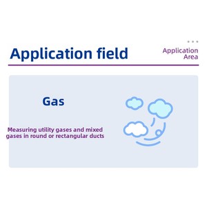 เครื่องวัดอัตราการไหลของก๊าซแบบใช้ความร้อน E+H Endress+Hauser แบบแยกส่วน สายเคเบิลยาว 20 เมตร พร้อมจอแสดงผลและปุ่มกด ผลิตในจีน - Product Image 4