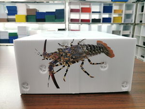 Cá Hộp Nhựa Đóng Gói Đông Lạnh Bao Bì Tươi Hải Sản Ploytherene <span class=keywords><strong>Pp</strong></span> Vận Chuyển Rỗng Hdpe Vận Chuyển Khô Lớn Cho Hộp Cá - Product Image 2