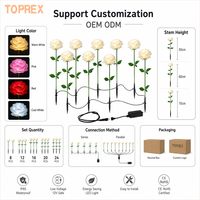 Fabricant de Lumières LED Personnalisées en Forme de Rose, Vente en Gros, Étanche, pour Décoration de Jardin et Projets de Mariage, Direct Usine