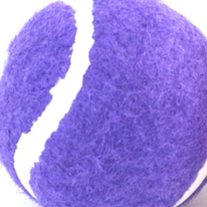 Experiencia de Juego Mejorada, Pelotas de Llamada Clase A de 4.7cm, Bolsa de 6, Juguetes Interactivos y de Movimiento para Mascotas - Product Image 5