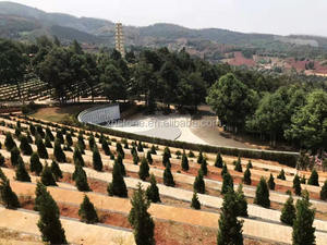 <span class=keywords><strong>Pierre</strong></span> <span class=keywords><strong>tombale</strong></span> en granit gris naturel hautement polie, design de <span class=keywords><strong>pierre</strong></span> <span class=keywords><strong>tombale</strong></span> de style japonais et monuments en <span class=keywords><strong>pierre</strong></span> japonais à vendre - Product Image 4