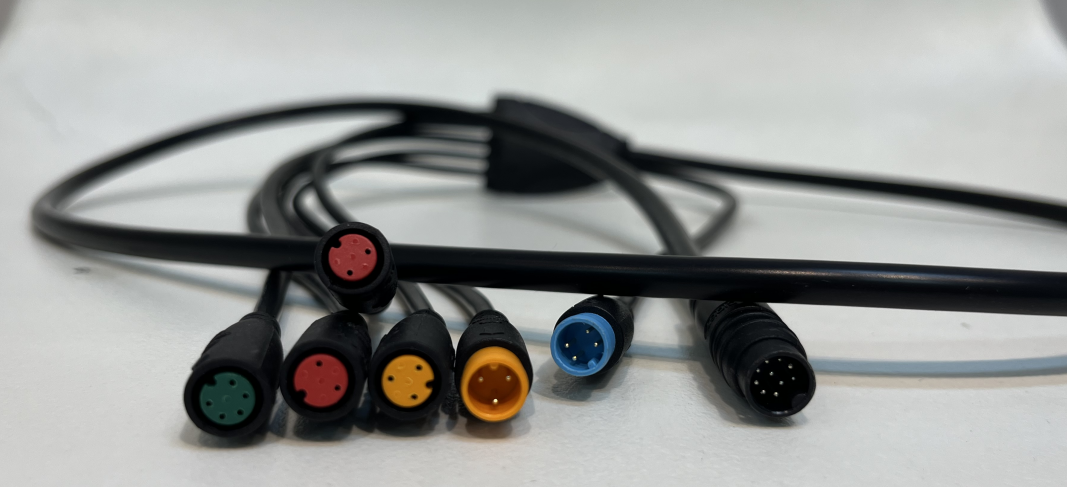 สายหลัก