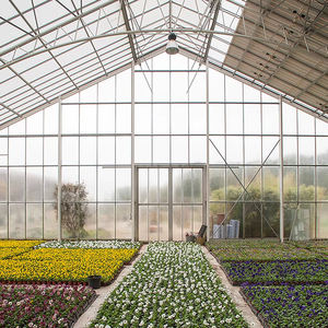 Kit de Invernadero Agrícola Multispan de Acero Galvanizado Comercial de Alta Transparencia con Cubierta de Policarbonato de Panel de PC Grande - Product Image 4
