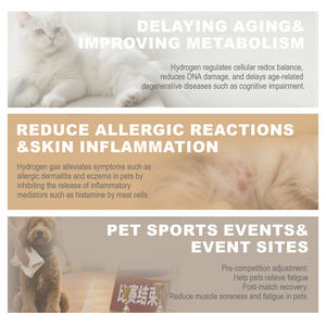 Ruang <span class=keywords><strong>Nebulizer</strong></span> hidrogen hewan peliharaan untuk kucing & anjing, kotak terapi oksigen dapat dilipat - Product Image 6