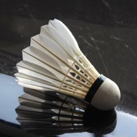 Accessoires de Badminton d'intérieur et d'extérieur, en plastique, blanc,