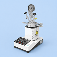 Réacteur de laboratoire durable en acier inoxydable 316L série ZN-YC 12,5 MPa avec ports d'entrée et d'échappement