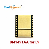 New Original BM1491 BM1491AA Electronic Component Chip for Computer Data Processor