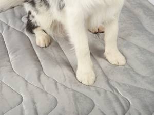 Rechthoekige Koelmat voor Kleine en Middelgrote Honden <span class=keywords><strong>2025</strong></span> Nieuwe Aangepaste Groothandel Trending Zomerhit - Product Image 6