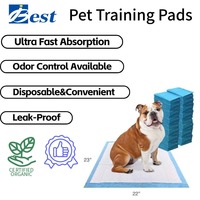 Tapis d'apprentissage jetables en coton pour chiots - Écologiques et imperméables pour un entraînement à la propreté et à la maison sans tracas