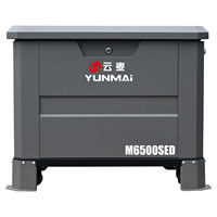 Générateur multi-carburant 5KW 220V 230V 380V GPL/GN/GNC/GNL, portable, essence, propane, pour la maison, le camping, les situations d'urgence