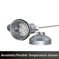 WRNK-131 Sensor Termokopel Berlapis Baja PT100 Tipe K Panjang 500-1500mm Opsional 0-800C -50-400C Dapat Dibengkokkan Fleksibel Temperatur