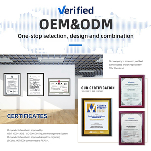 <span class=keywords><strong>2025</strong></span> New ma thuật xoay hình chữ nhật hình dạng lau xô với thép cực Twist xử lý và Bánh xe thiết kế độc đáo - Product Image 5