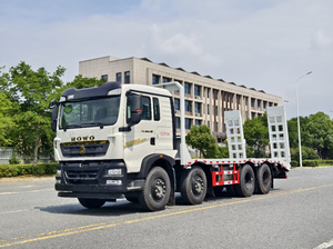 Sinotruk Howo Gold Standard TX Weichai 350hp 8x4 Camión Diésel Euro 6 Nuevo Camión Pesado - Product Image 2