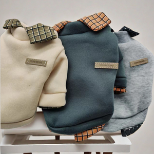 Novo Moletom com Capuz para Cães e Gatos de Outono e Inverno Camisa Elegante e Simples para Filhotes - Product Image 1