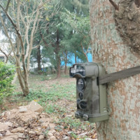 Cámaras de Caza con Sensor de Movimiento Ltl Acorn IP68 Resistentes al Agua con Visión Nocturna IR para Fauna Silvestre Forestal, Fotos de 32MP, Visión Nocturna de 950nm/850nm