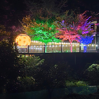 2M/ 3M Mobilier d'extérieur Décoration personnalisée de festival Boule de lumière LED Boule de lune géante en plastique de haute qualité Lumière de lune dorée