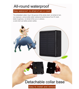 Rastreador GPS Solar DF V24 para Cabras, Dispositivo de Rastreo GPS para Camellos, Rastreador Solar para Animales de Granja, Caballos y Vacas - Product Image 3