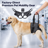 Harnais de soutien dorsal respirant et durable pour chien en polyester, idéal pour la rééducation des chiens âgés et souffrant d'arthrite, avec logo personnalisé OEM/ODM