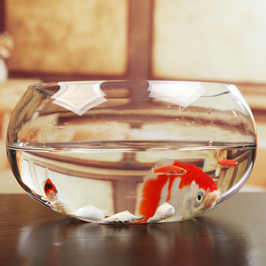 Aquarium en verre multi-usages, <span class=keywords><strong>vase</strong></span> hydroponique rond, aquarium de bureau créatif pour betta, tortue, poisson rouge, décoration de bureau, salon - Product Image 3