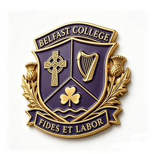 Belfast College Crest <b>Badge</b> Gold Plated Zinc Alloy Hard Enamel Double Side Religious Emblem Business Gift - Product Image 5