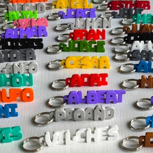 Vashine 3D-gedruckte OEM PLA-freundliche Materialien Buntes Team Schlüssel bund Haustier Typenschild Schüssel Dekoration Exklusives Etikett für Tasse - Product Image 1