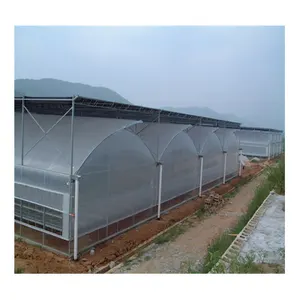 Chicken Greenhouse with Water Line Equipment