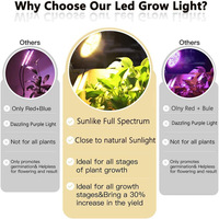 Ampoule de croissance LED multifonctionnelle à spectre complet de 100W, adaptée à la croissance des plantes, des légumes et des fleurs herbacées