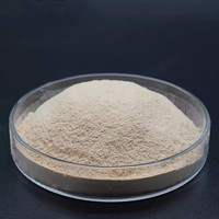 Extrait de levure Soluble dans l'eau Sodium Carboxymethyl Levure Bêta Glucane (Bêta 1,3/1,6 D Glucan) 90% Pour Qualité Cosmétique