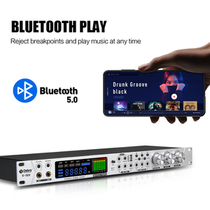 Debra-Micrófono de mano con sistema de efectos de karaoke, procesador DSP, preetapa de minería de audio, reverberación, interfaz óptica USB - Product Image 3