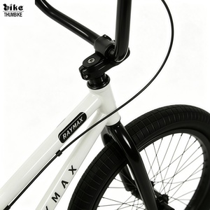Vélo <span class=keywords><strong>BMX</strong></span> de course RAYMAX <span class=keywords><strong>20</strong></span> <span class=keywords><strong>pouces</strong></span>, cadre entièrement en chromoly, vitesse unique, frein TEKTRO U, roues en aluminium, pneus 20x2.40, moyeu 9T SAMOX - Product Image 4