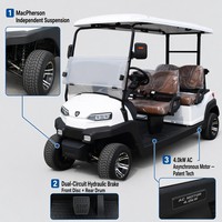 Carrito de Golf Eléctrico Tarion de 4 Plazas, Motor de CA de 4.0kW, Autonomía de 80-100 km, Suspensión MacPherson, Freno de Doble Circuito, OEM ODM, 35 km/h