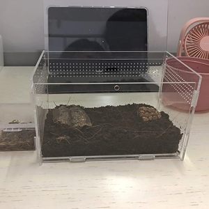 Mini micro-écosystème d'habitat en acrylique magnétique empilable pour tarentules arboricoles Scorpions & Insectes Escargots Isopodes Geckos - Product Image 4