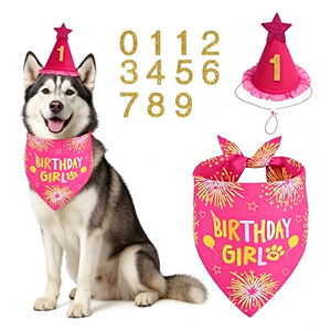 Chapeau et Bandana <span class=keywords><strong>Anniversaire</strong></span> pour Animaux de Compagnie – Ensemble Durable Rose & Bleu Taille XL pour Chiens et Chats, Utilisation Intérieure et Extérieure - Product Image 1