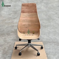 Chaise de patron cadre en contreplaqué directeur canapé chaise cadre en contreplaqué chaise de directeur cadre en contreplaqué d'eucalyptus