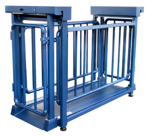 डिजिटल बेंच स्केल पशुधन का वजन सूअरों के लिए पशु पैमाने Lcd प्रदर्शन ओएम अनुकूलन योग्य स्टेनलेस स्टील निर्माण - Product Image 2