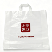 Bolsa de Compras de Plástico Personalizada con Asa de Lazo y Logotipo Impreso, Bolsa de Compras de Plástico Tipo Boutique